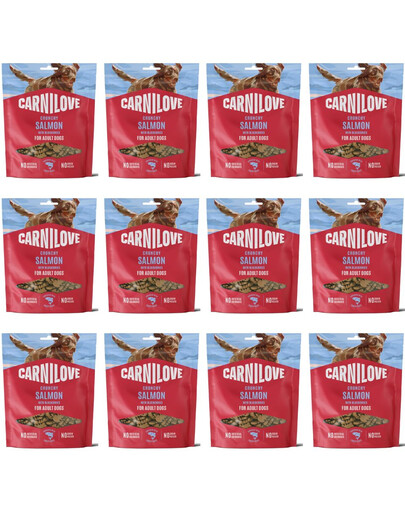 CARNILOVE Dog Crunchy Snack Salmon 12x200g chrupiące przysmaki z łososiem dla dorosłych psów