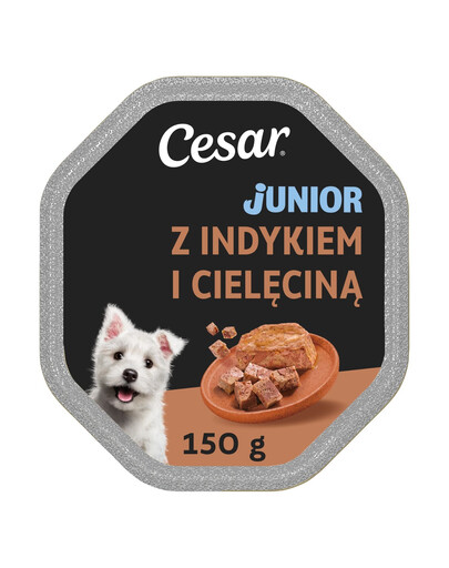 CESAR Junior z Indykiem i cielęciną 150g mokra karma dla szczeniąt