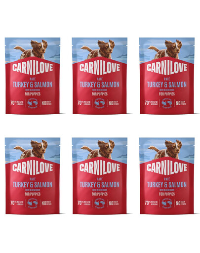 CARNILOVE Dog Pouch Turkey and Salmon Puppies 6x300g karma mokra indyk i łosoś dla szczeniąt