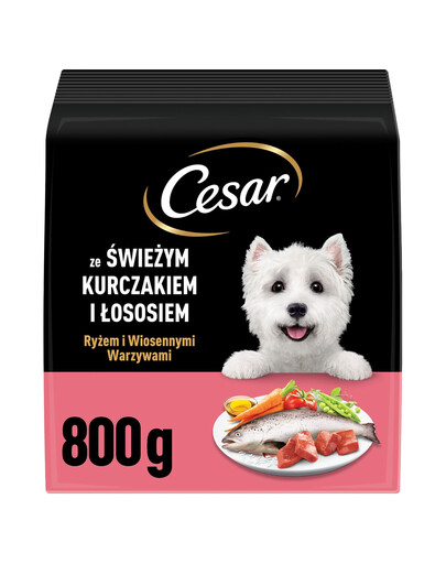 CESAR Adult su vištiena ir lašiša, 6 x 800 g sausas šunų ėdalas