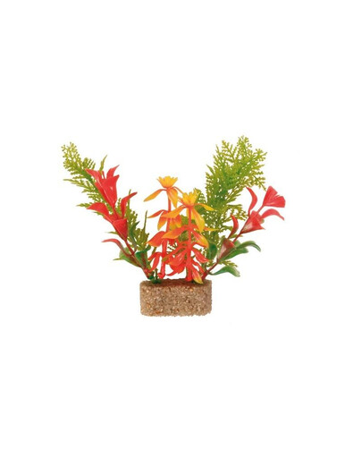 Trixie augalai ant didelio akmens 30 cm 6 vnt.