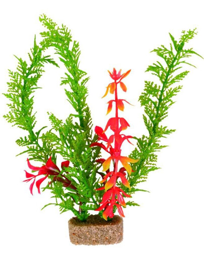 Trixie augalai ant didelio akmens 30 cm 6 vnt.