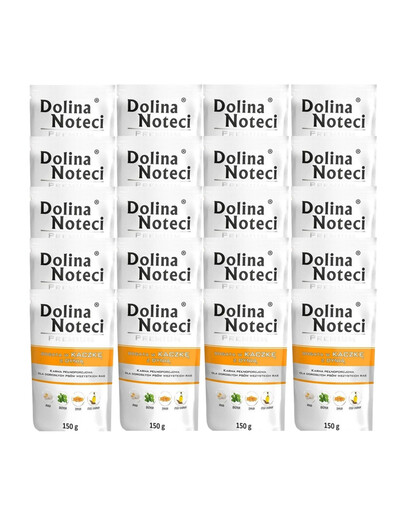 DOLINA NOTECI Premium Bogata W Kaczkę Z Dynią 20x150 g
