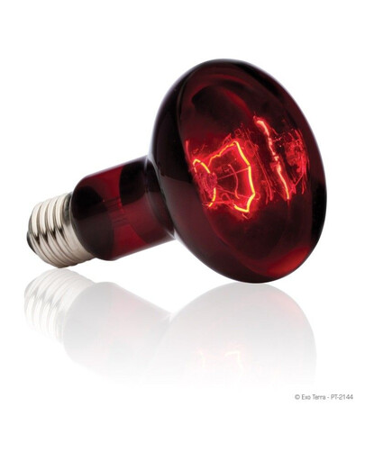 Hagen Exo Terra lempa Heat Glo 100 W 80 mm