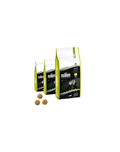 BOZITA Robur genuine lamb & rice 23/13 5 kg