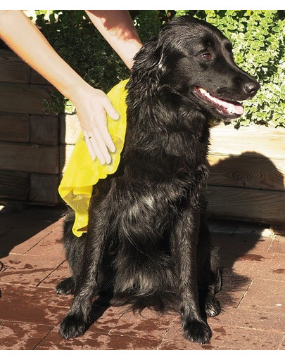 Trixie rankšluostis 66 × 43 cm šunims Top-Fix