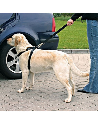 Trixie šuns saugos diržas su petnešomis XL