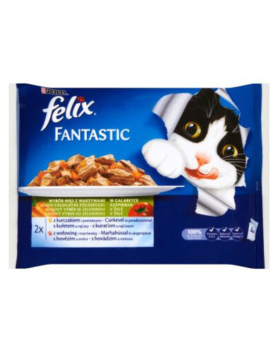 Felix Fantastic Žuvies rinkinys drebučiuose 4x100 g: 2x  su lašišomis; 2x su plekšnėmis