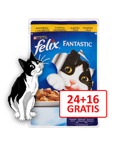 FELIX Fantastic Z Kurczakiem 100g 24 + 16 Gratis