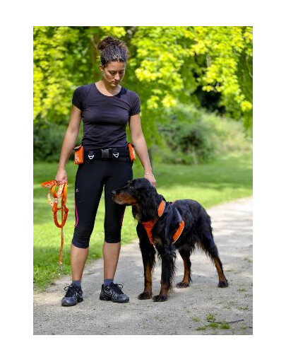 Zolux petnešos bėgiojimui Canisport XL žalios
