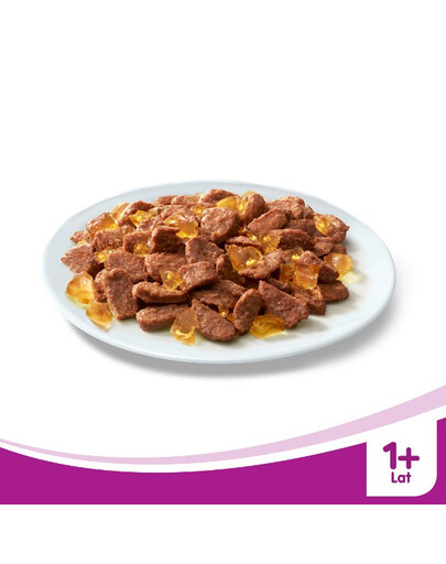 Whiskas Senior konservai katėms su ėriena drebučiuose 100 g x24