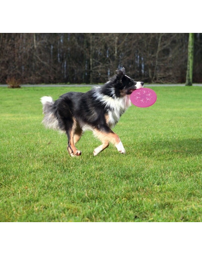 Trixie šviečianti lėkštė 20 cm