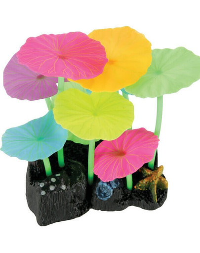 Zolux akvariumo dekoracija Sweetyfish Phospho Lotus