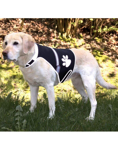 Trixie šviesą atspindinti liemenė Flash USB, M: 42–62 cm