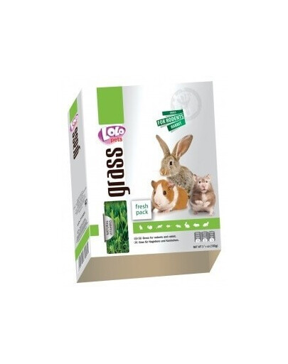 Lolo Pets žolė graužikams dėžutėje 100 g