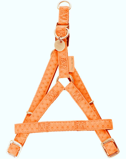 Zolux reguliuojamos petnešos Mac Leather 25 mm oranžinės