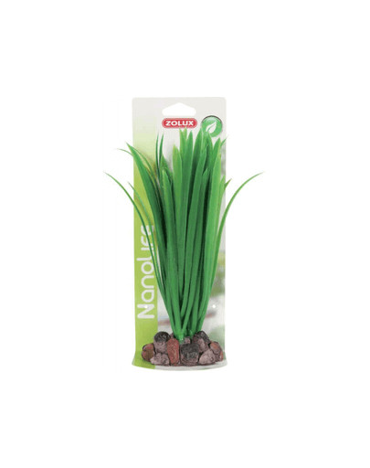Zolux dekoratyvinis augalas 14 cm modelis 4