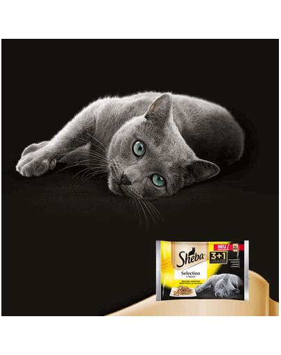 SHEBA Selection in Sauce Smaki Drobiowe sos 4 x 85g