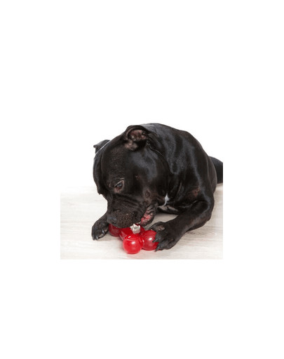 Comfy žaislas Strong Dog Bone 16,5cm