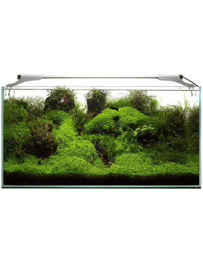 Aquael Leddy Slim 32W Plant 80-100 cm LED šviestuvas akvariumui
