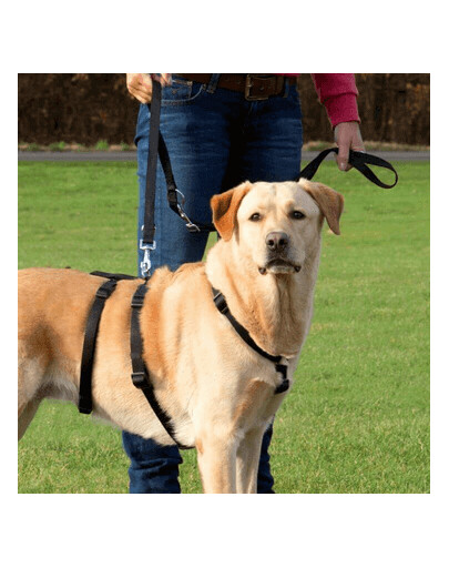 Trixie petnešos Stay XS-S 30–40 cm / 10 mm