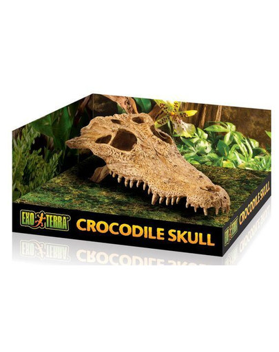 Exo Terra slėptuvė krokodilo kaukolė