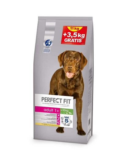 Perfect Fit Adult (1+ metai) ėdalas praturtinas vištiena vidutinių ir didelių veislių šunims 11 kg + 3.5 kg dovana