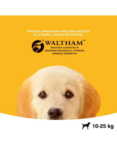 PEDIGREE Junior střední rasy 2.2 kg + 400g GRATIS