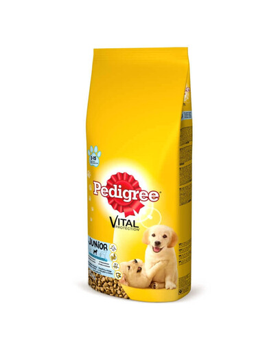 PEDIGREE Junior střední rasy 2.2 kg + 400g GRATIS