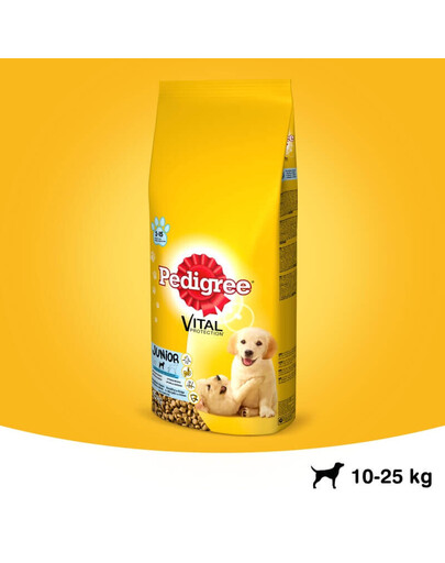 PEDIGREE Junior střední rasy 2.2 kg + 400g GRATIS