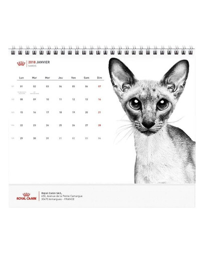 ROYAL CANIN Kalendorius