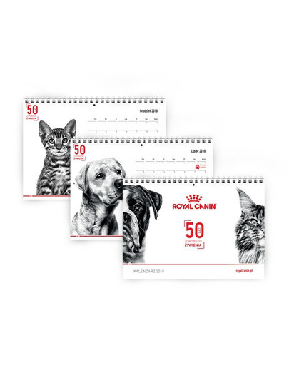 ROYAL CANIN Kalendorius