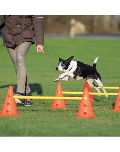 TRIXIE Dog Activity barjerai šunims trijų dalių rinkinys