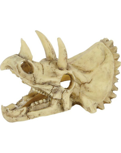 ZOLUX dekoracija dinozauro kaukolė modelis 5