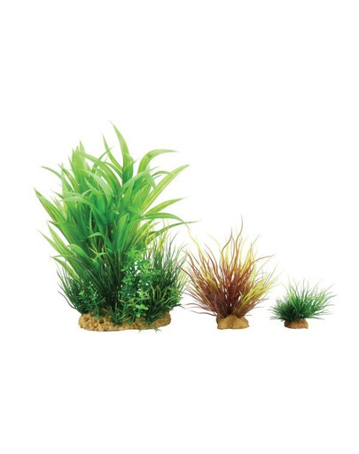 ZOLUX Plantkit Wiha dekoracijos augalų rinkinys modelis 2