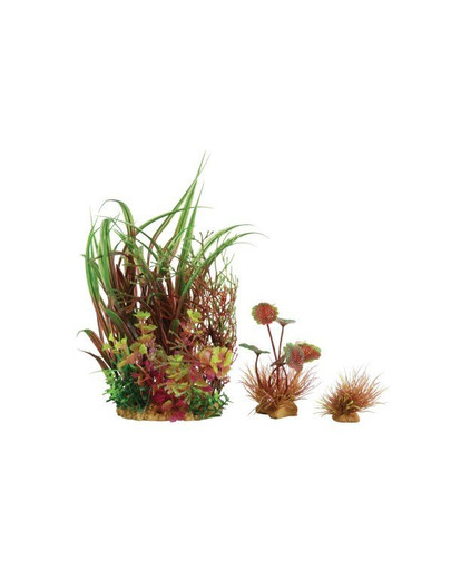 ZOLUX Plantkit Wiha dekoracijos augalų rinkinys modelis 3
