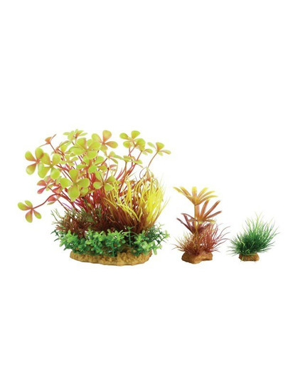 ZOLUX Plantkit Wiha dekoracijos augalų rinkinys modelis 4