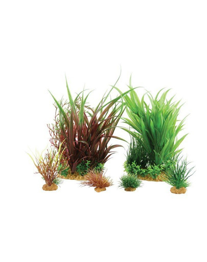 ZOLUX Plantkit dekoracijos augalų rinkinys modelis 3