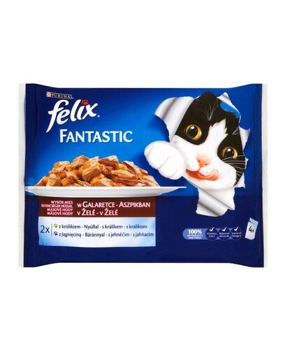 FELIX Fantastic with Rabbit and Lamb 40 x 100g