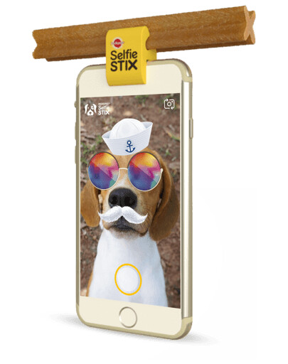 PEDIGREE SelfieSTIX