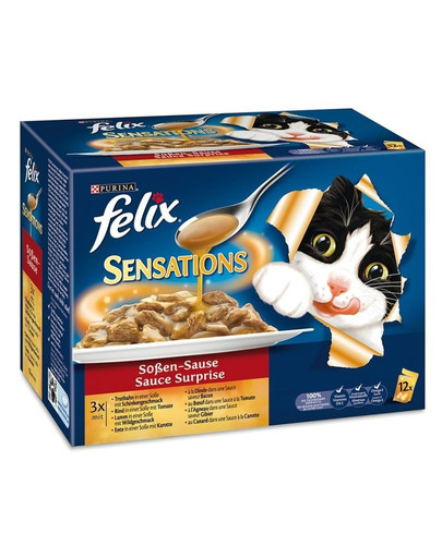 FELIX Sensations Sauce Surprise  12 X100 g