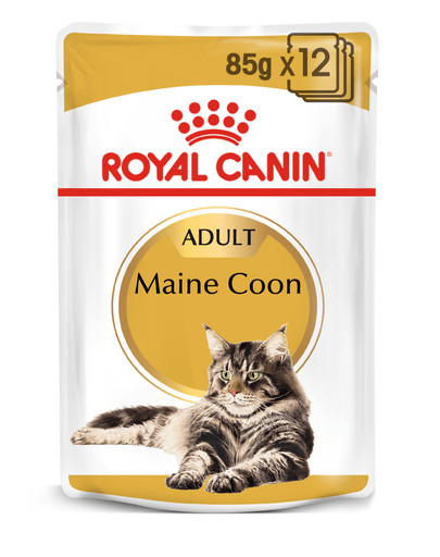 Royal Canin Mainecoon konservai 12 X 85 g