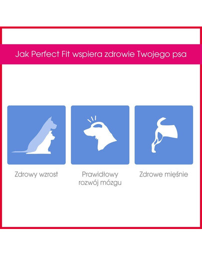 Perfect Fit Junior (< 1 metai) ėdalas praturtintas vištiena vidutinių ir didelių veislių šunims 1.4 kg