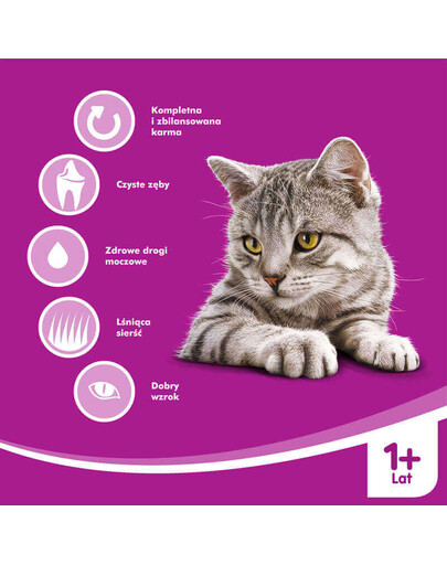 WHISKAS Suaugusiųjų jautiena 1,4kg