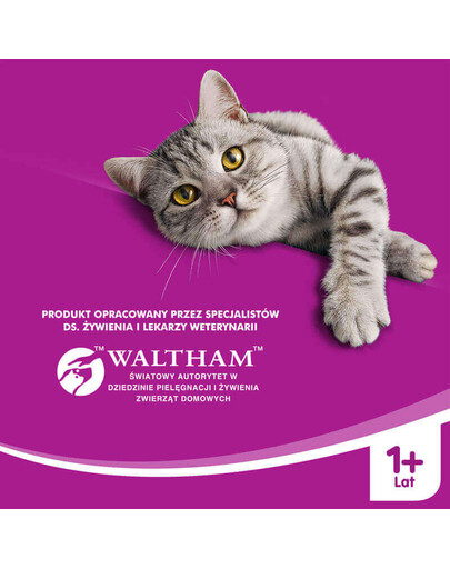 WHISKAS Suaugusiųjų jautiena 1,4kg