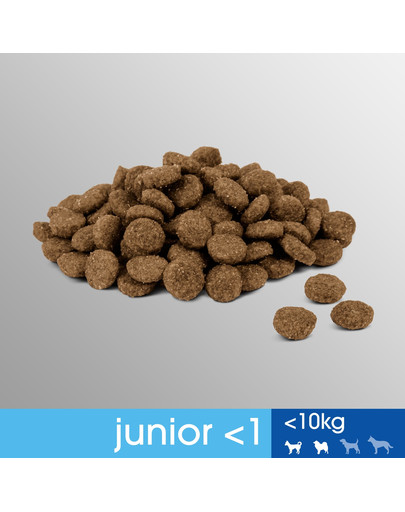 PERFECT FIT (Junior) 5x825g turtingas vištiena - sausas maistas mažų veislių šunims