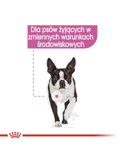 ROYAL CANIN Relax Care konservai 85 g