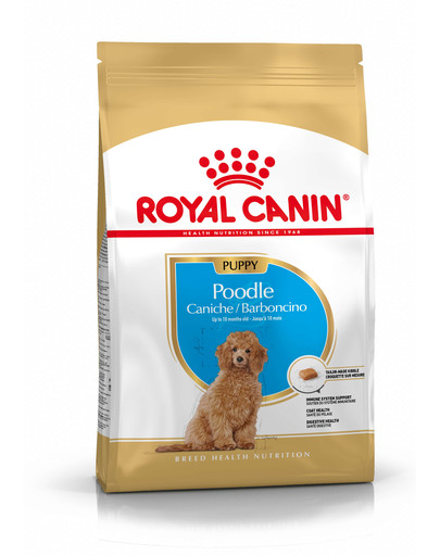 ROYAL CANIN Poodle Puppy 0,5 kg sausas maistas šuniukams iki 10 mėnesių, miniatiūriniams pudeliams