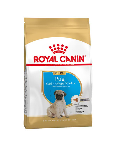 ROYAL CANIN Pug Puppy 0,5 kg sausas maistas šuniukams iki 12 mėnesių, mopsams