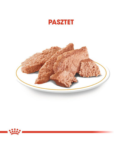 ROYAL CANIN Poodle Adult in Sobe 85 g šlapias šunų maistas suaugusiems šunims, pudeliams